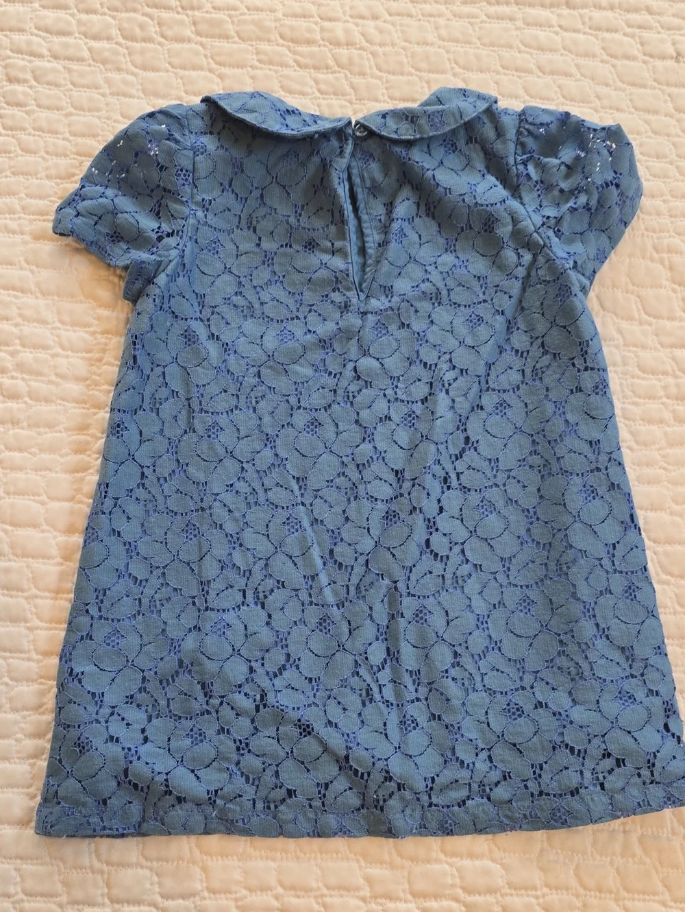 Floral Lace Overlay Dress